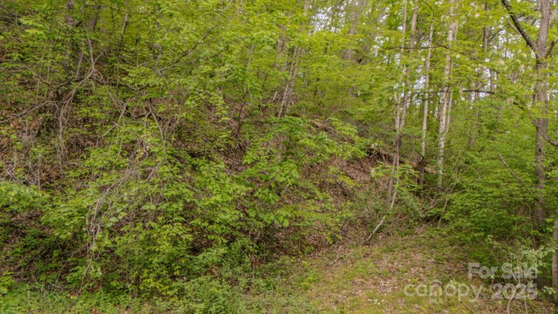 Property image 5 of 000 Buena Vista Drive in Horseshoe Ridge, Barnardsville, NC 28709