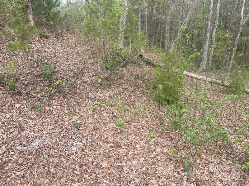 Property image 5 of Lot 22 River Club Drive in Cullowhee River Club, Cullowhee, NC 28723