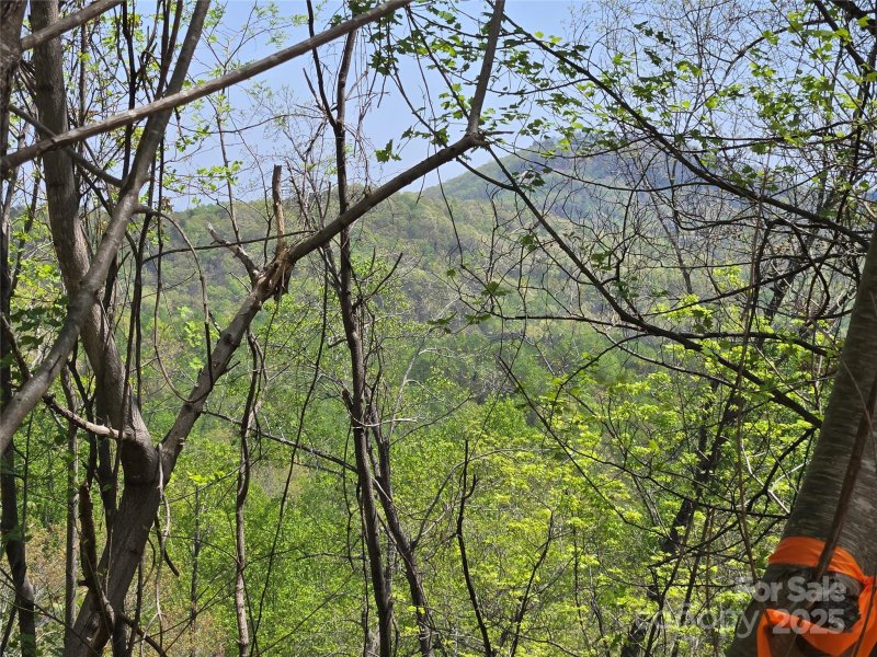 Lot 24 High Rock Ridge