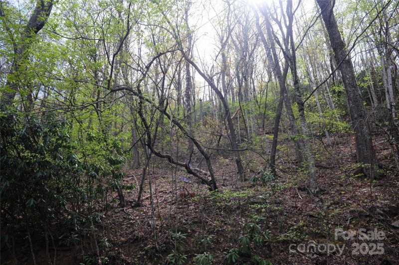 Property image 3 of 36 Great Aspen Way in Laurel Ridge, Black Mountain, NC 28711