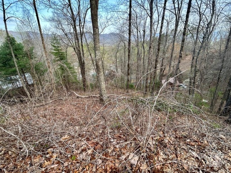 Property image 3 of Lot 6 Biltmore Circle in Village View, Bryson City, NC 28713