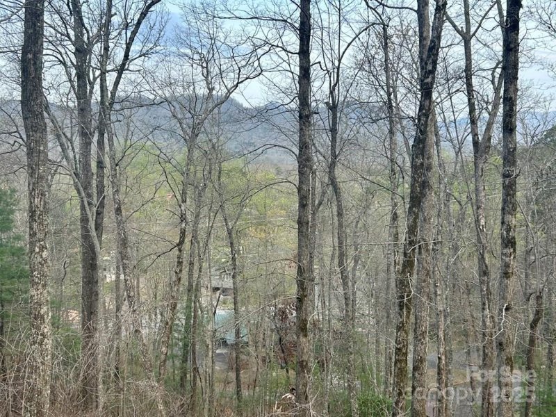 Property image 4 of Lot 6 Biltmore Circle in Village View, Bryson City, NC 28713