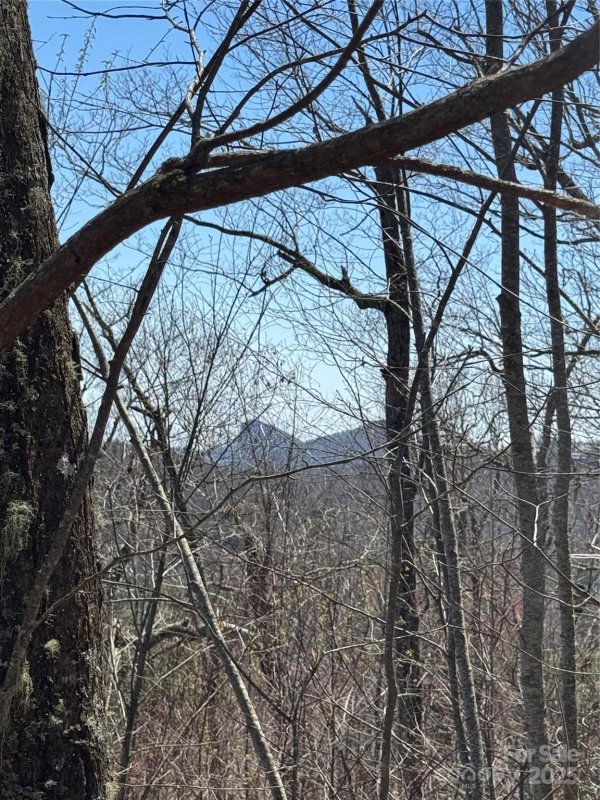 Property image 3 at 7668 Turtle Rock Road, Newland, NC 28657