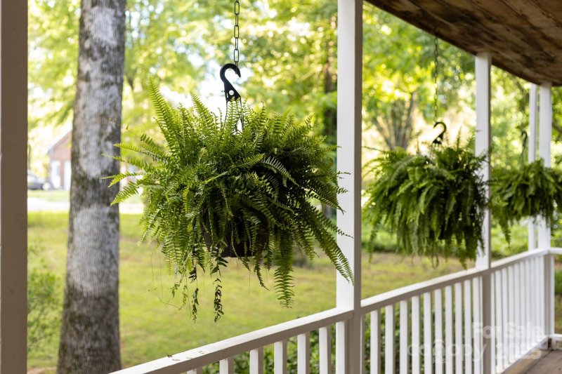 Property image 5 at 552 Blue Rock Drive, Charlotte, NC 28213