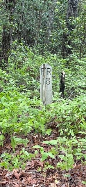 Property image 2 of Fr 16 Opossum Path in Sherwood Forest, Brevard, NC 28712