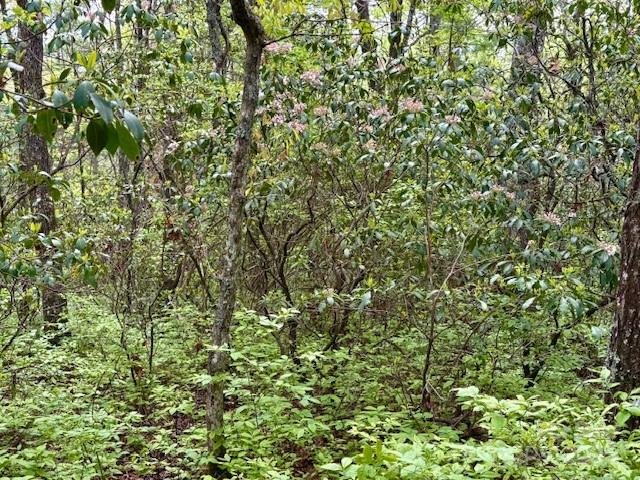 Property image 3 of Fr 16 Opossum Path in Sherwood Forest, Brevard, NC 28712