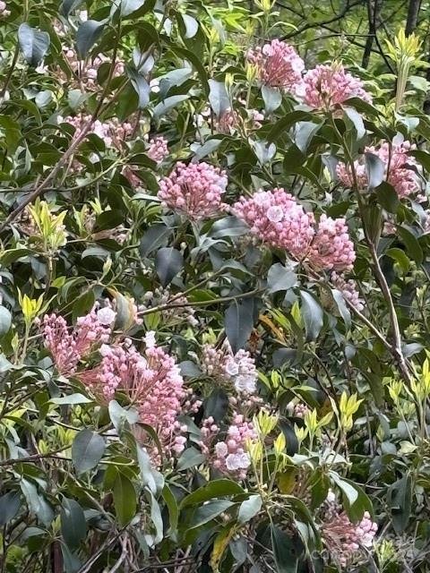 Property image 5 of Fr 16 Opossum Path in Sherwood Forest, Brevard, NC 28712