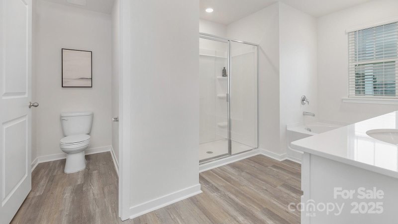 Property image 3 at 104 Rustling Waters Drive, Mooresville, NC 28117