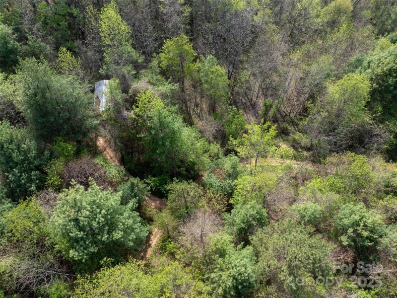 Property image 5 of Lot 38 Sunnybrook Trail in Hyder Mountain Acres, Clyde, NC 28721