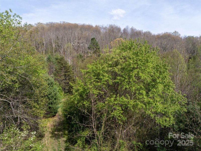 Property image 3 of Lot 40 Sunnybrook Trail in Hyder Mountain Acres, Clyde, NC 28721