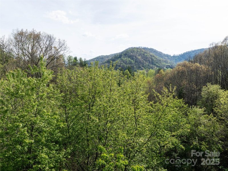 Property image 5 of Lot 40 Sunnybrook Trail in Hyder Mountain Acres, Clyde, NC 28721