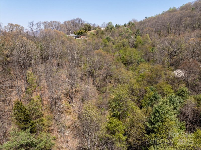 Property image 5 of Lot 42 Sunnybrook Trail in Hyder Mountain Acres, Clyde, NC 28721