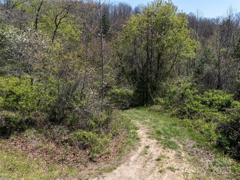 Property image 3 of Lot 43 Sunnybrook Trail in Hyder Mountain Acres, Clyde, NC 28721