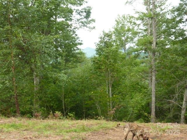 240 Thunderhead Drive