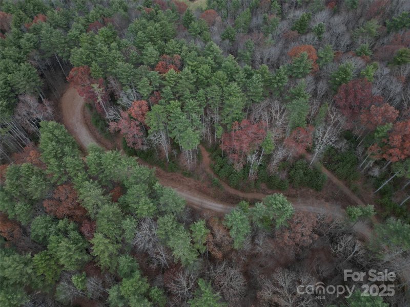 Property image 5 of 13 Wildlife Drive in Dream Valley, Clyde, NC 28721