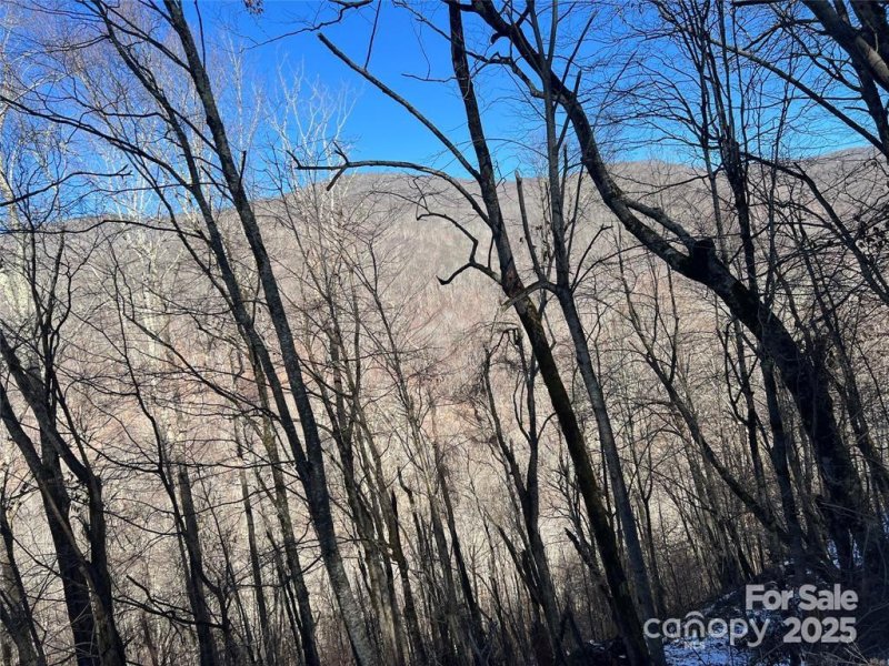 Property image 4 of 00 Puncheon Lane in Wolf Laurel, Mars Hill, NC 28754