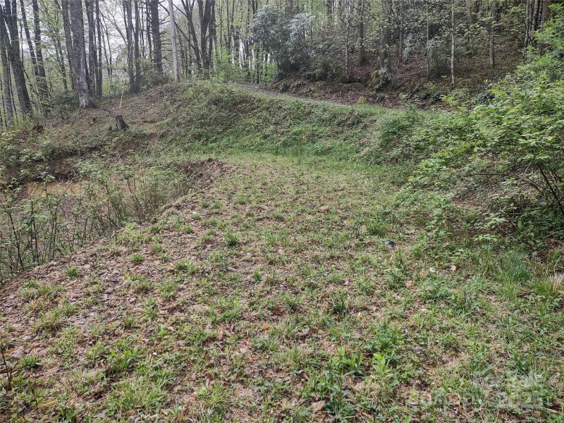 Property image 2 at 000 Green Cove Road, Maggie Valley, NC 28751