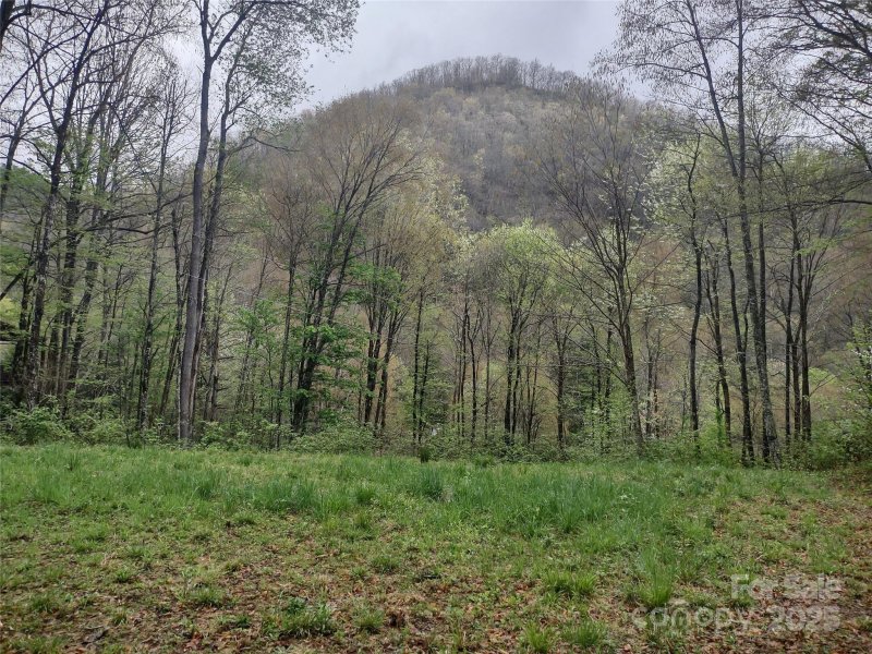 Property image 3 at 000 Green Cove Road, Maggie Valley, NC 28751