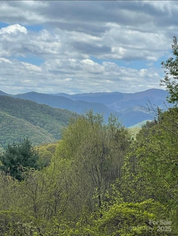 Newfound Gap Acres, Leicester Community