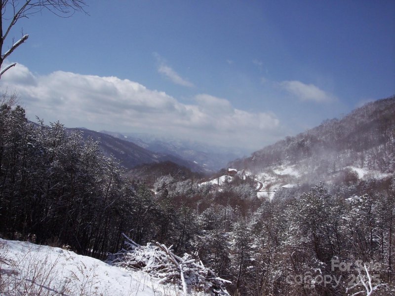 Property image 2 of 0000 Jerome Lane in Newfound Gap Acres, Leicester, NC 28748