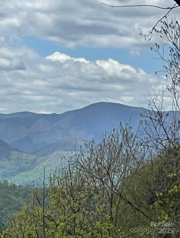 Property image 3 of 0000 Jerome Lane in Newfound Gap Acres, Leicester, NC 28748