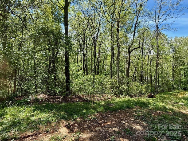 Property image 3 of Tbd Knox Road in Ridgecrest, Black Mountain, NC 28711