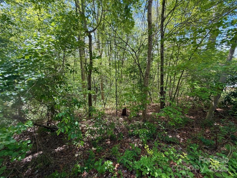 Property image 5 of Tbd Knox Road in Ridgecrest, Black Mountain, NC 28711