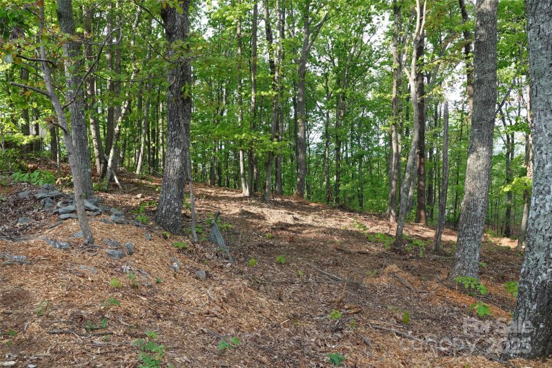 Property image 2 at 55 Arbra Mountain Way, Bostic, NC 28018