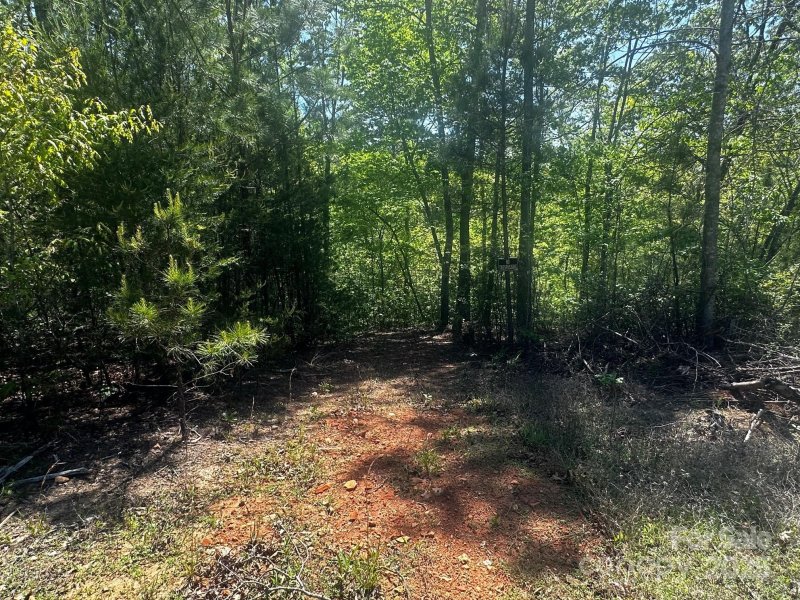 Property image 2 at 0000 Nors Way, Lake Lure, NC 28746