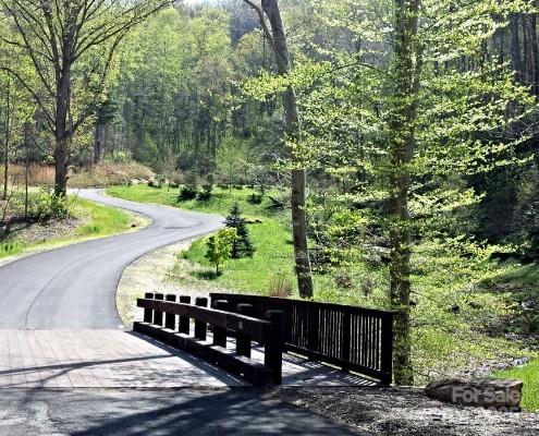 Property image 4 of 17 Franklin Trace Drive in Town Mountain Preserve, Asheville, NC 28804