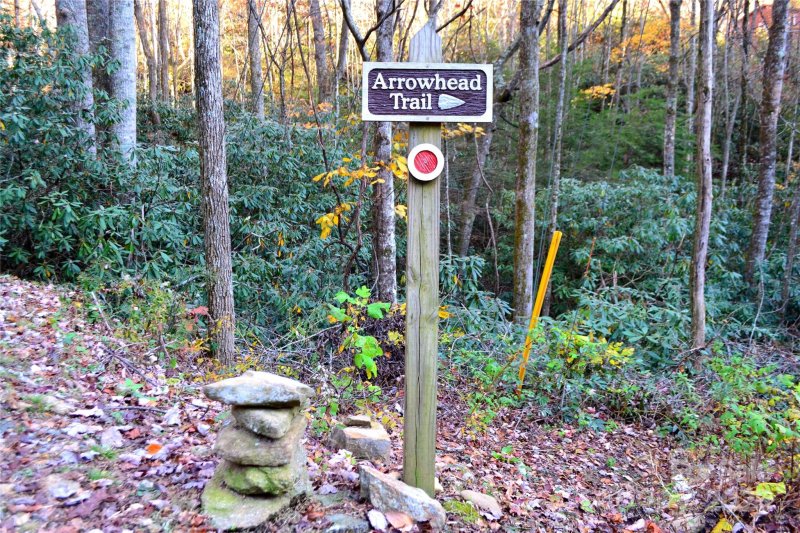 Property image 4 of 99999 Fairview Forest Drive in Fairview Forest, Fairview, NC 28730