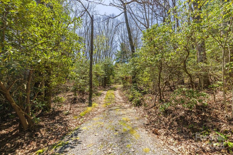 Property image 5 of 99999 Fairview Forest Drive in Fairview Forest, Fairview, NC 28730