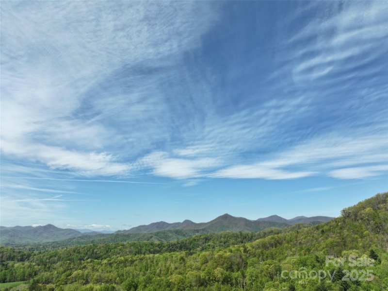 Property image 2 at 58 Ashewood Mountain Way, Candler, NC 28715