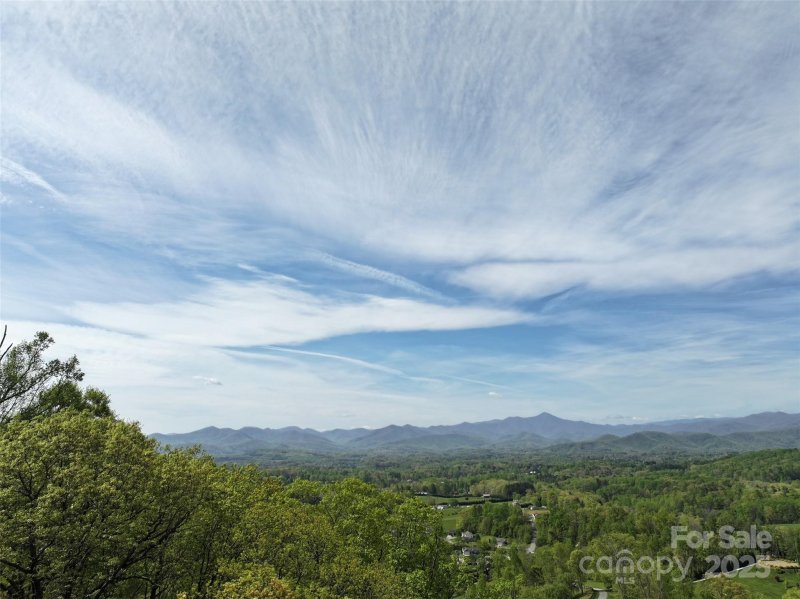 Property image 3 at 58 Ashewood Mountain Way, Candler, NC 28715