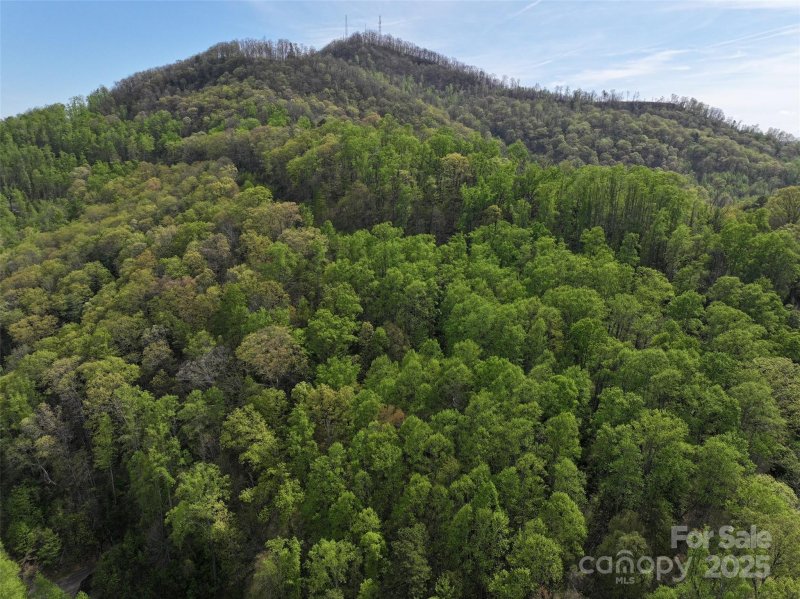 Property image 4 at 58 Ashewood Mountain Way, Candler, NC 28715
