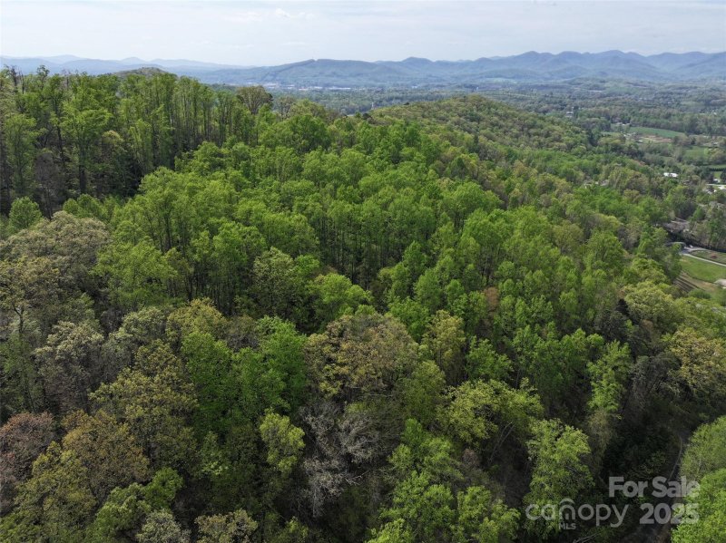 Property image 5 at 58 Ashewood Mountain Way, Candler, NC 28715