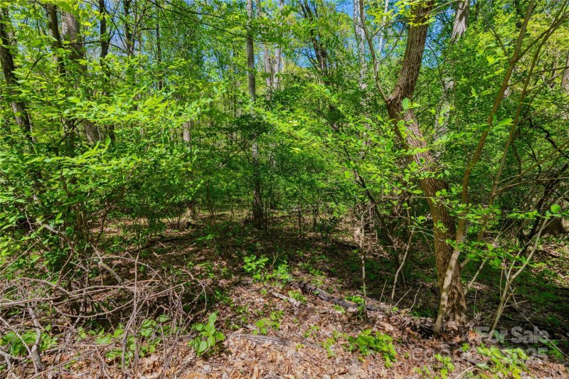 Property image 2 of Tbd Whispering Woods Path in Mountain Park, Mars Hill, NC 28754
