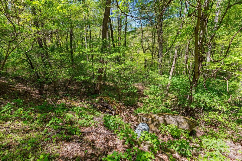 Property image 4 of Tbd Whispering Woods Path in Mountain Park, Mars Hill, NC 28754