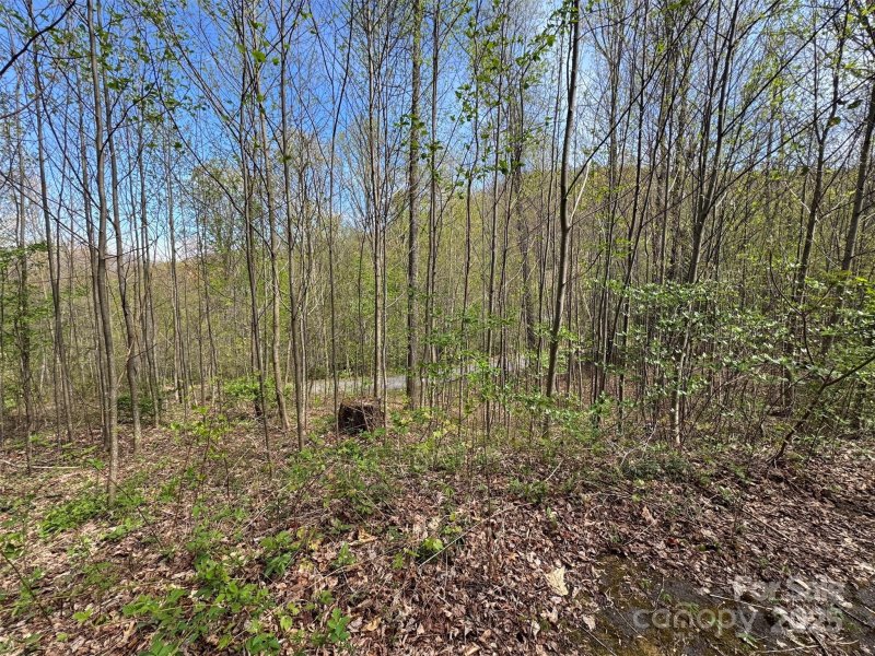 Property image 3 at Tbd C Chestnut Walk Drive, Waynesville, NC 28786