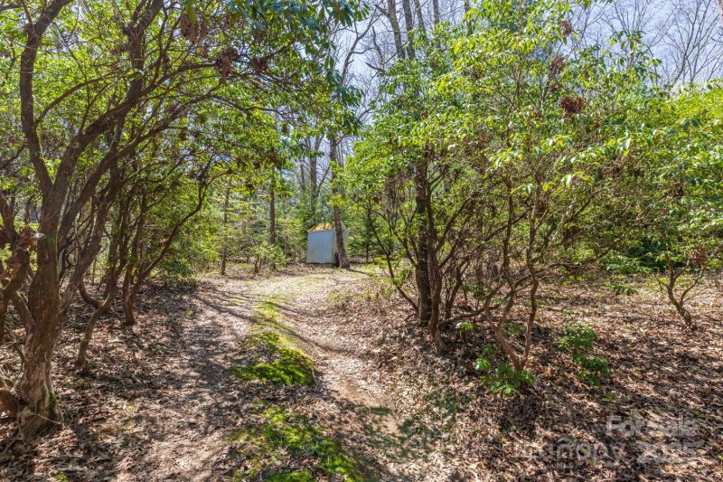 Property image 3 at 99999 Fairview Forest Drive, Fairview, NC 28730