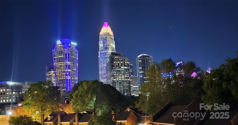 Property image 4 at 301 W 10th Street, Charlotte, NC 28202