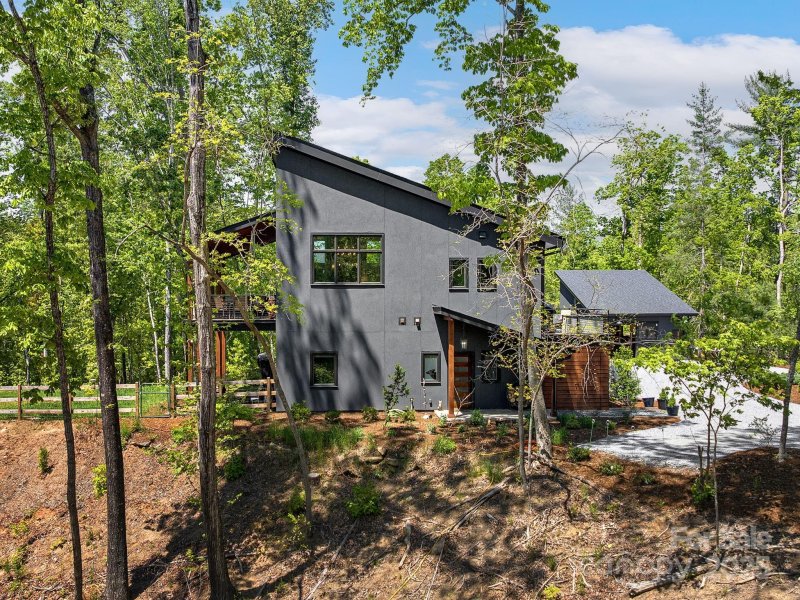 Property image 4 at 262 South Cove Road, Mill Spring, NC 28756