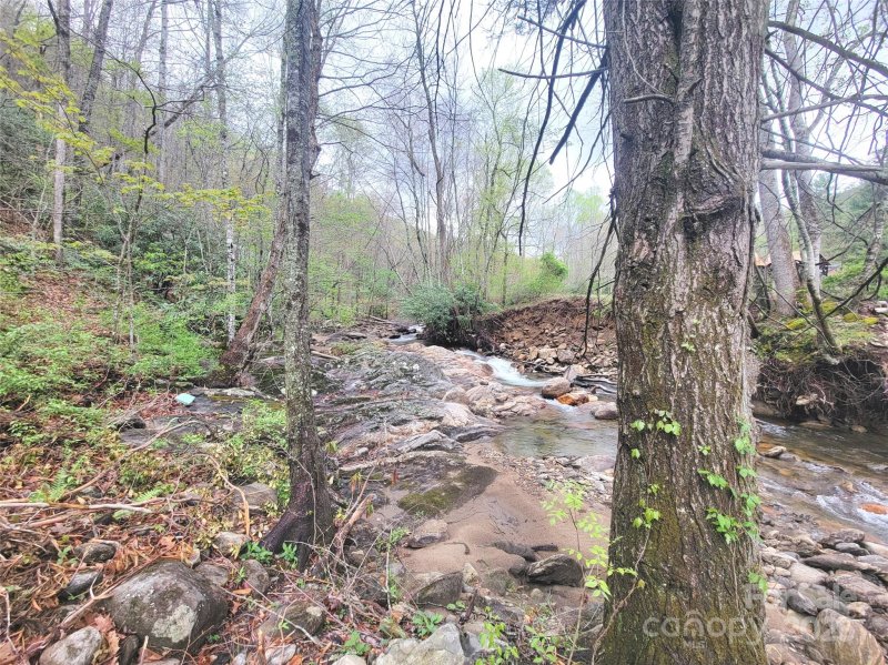 Property image 3 at 120 Tumbling Falls Drive, Canton, NC 28716