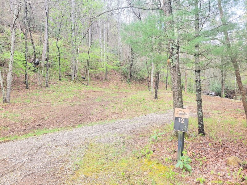 Property image 4 at 120 Tumbling Falls Drive, Canton, NC 28716