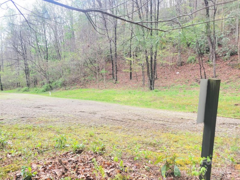 Property image 5 at 120 Tumbling Falls Drive, Canton, NC 28716