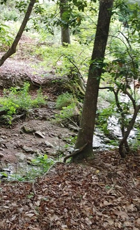 Property image 2 of 5610 Creeks Edge Lane in Edgewater, Granite Falls, NC 28630