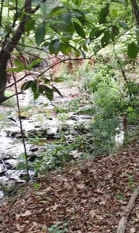 Property image 4 of 5610 Creeks Edge Lane in Edgewater, Granite Falls, NC 28630