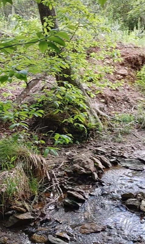 Property image 5 of 5610 Creeks Edge Lane in Edgewater, Granite Falls, NC 28630