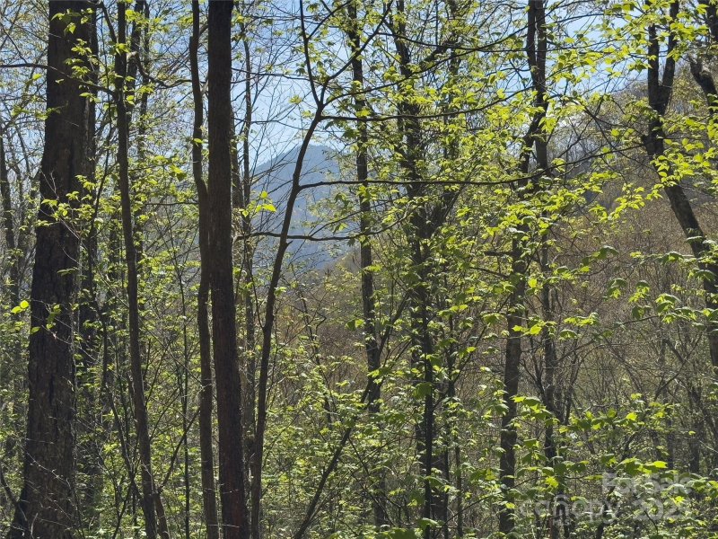 Property image 2 of Lot 64 Big Springs Trail in Black Rock Creek, Qualla, NC 28719