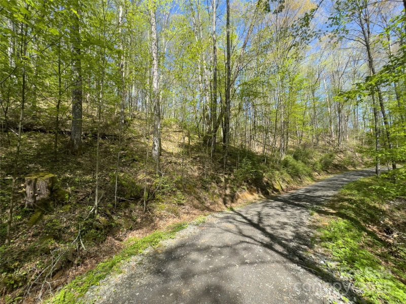 Property image 3 of Lot 64 Big Springs Trail in Black Rock Creek, Qualla, NC 28719